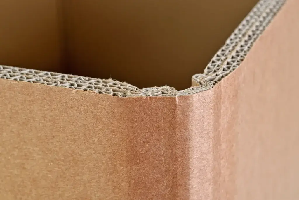 Organic Poland - Cardboard box